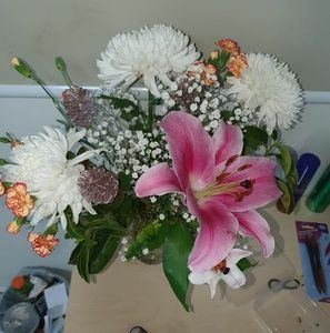 Meet your Posher, Nat